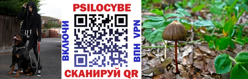даркнет клад  что такое   Аркадак  Псилоцибиновые грибы GOLDEN TEACHER 
